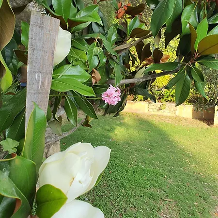 Garden 2* Nuraminis