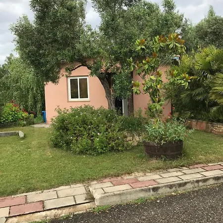 Garden Nuraminis