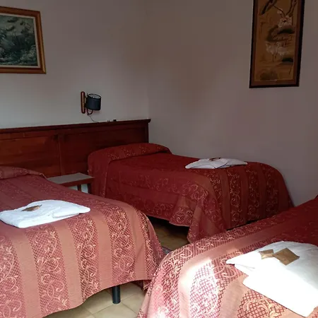 Garden Hotel 2*
