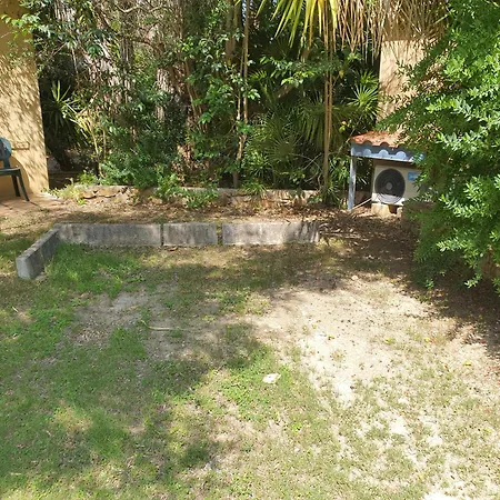 Garden 2*