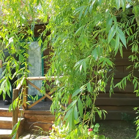 Hotel Garden