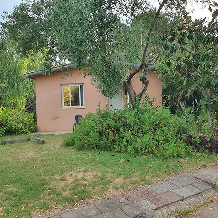 Garden 2*